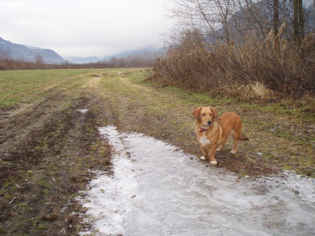 Il Fiume Adda